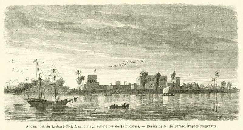 Antigo forte de Richard-Toll, a cento e vinte quilómetros de Saint-Louis (gravura) de French School