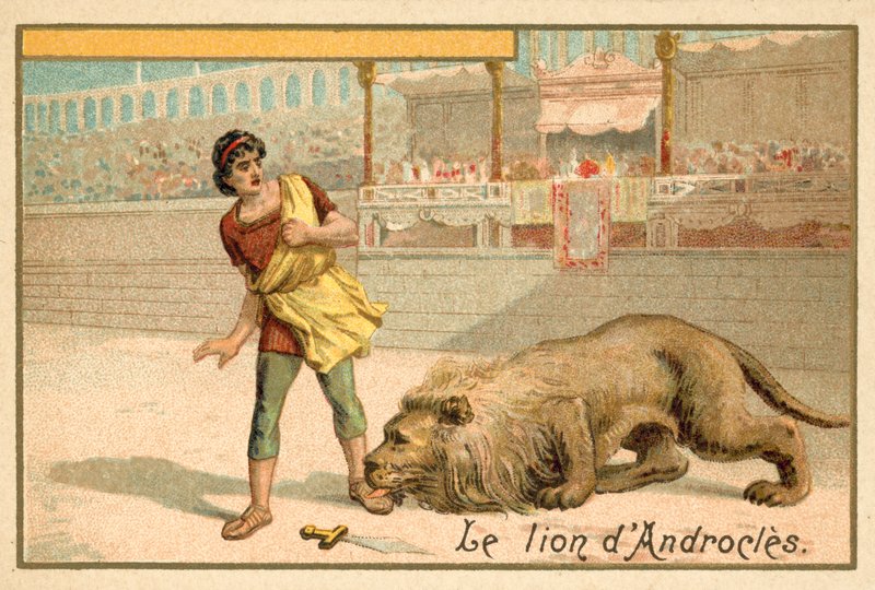 Androcles e o Leão de French School