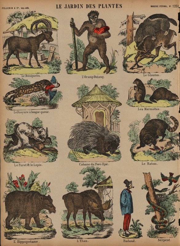 Animais no Jardin des Plantes, Paris, França (gravura a cores) de French School