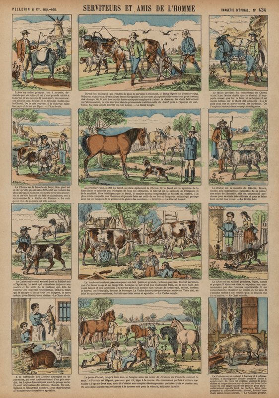 Animais benéficos para o homem (gravura colorida) de French School