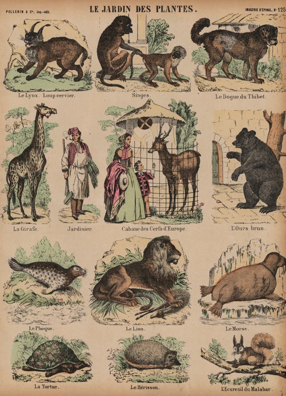 Animais do Jardin des Plantes, Paris, França de French School
