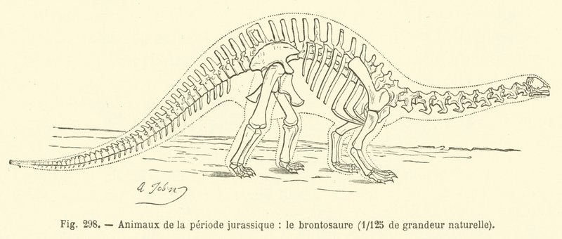 Animais do período Jurássico, o brontossauro (gravura) de French School
