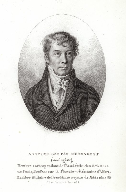 Anselme Gaëtan Desmarest de French School