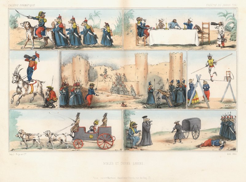 Cães e macacos antropomórficos (gravura colorida) de French School