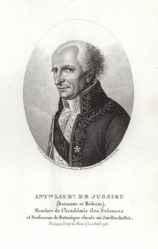 Antoine Laurent de Jussieu de French School