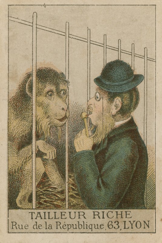 Macaco e homem de French School