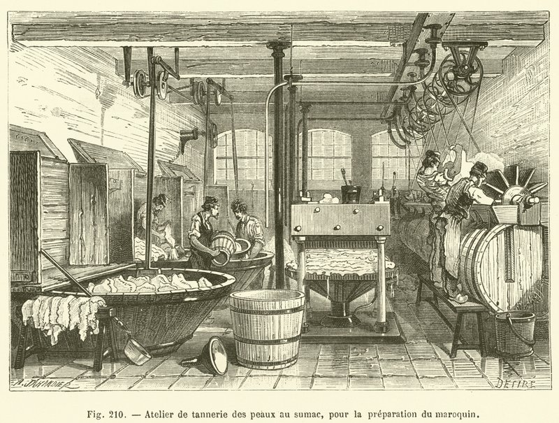 Oficina de curtimento de couro com sumac, para a preparação de artigos de couro (gravura) de French School