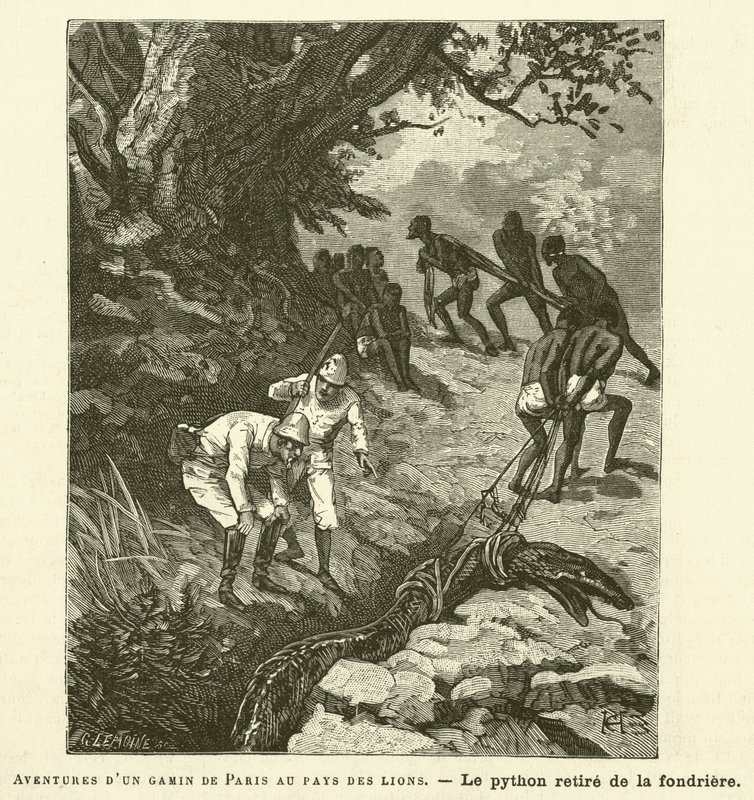 Aventuras de uma criança parisiense na terra dos leões (gravura) de French School