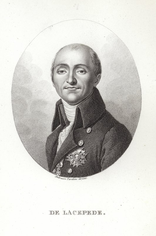 Bernard Germain de Lacépède de French School