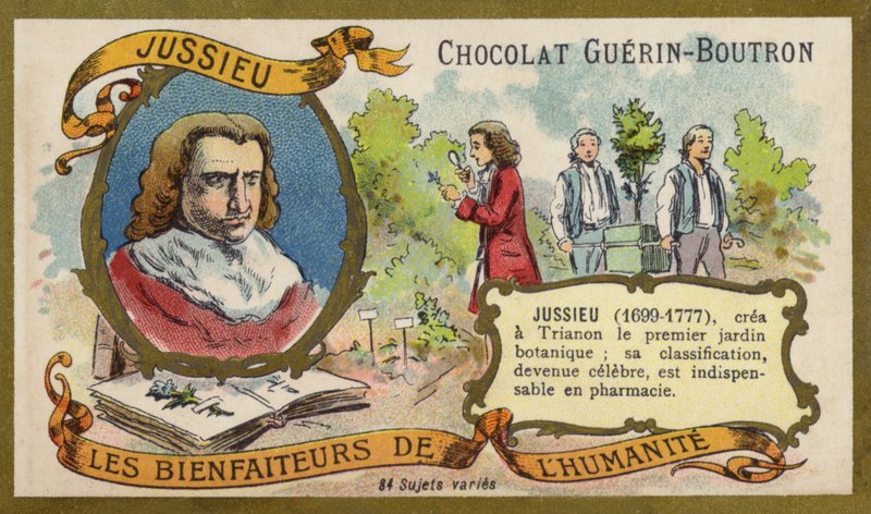 Bernard de Jussieu, naturalista francês (chromolitho) de French School