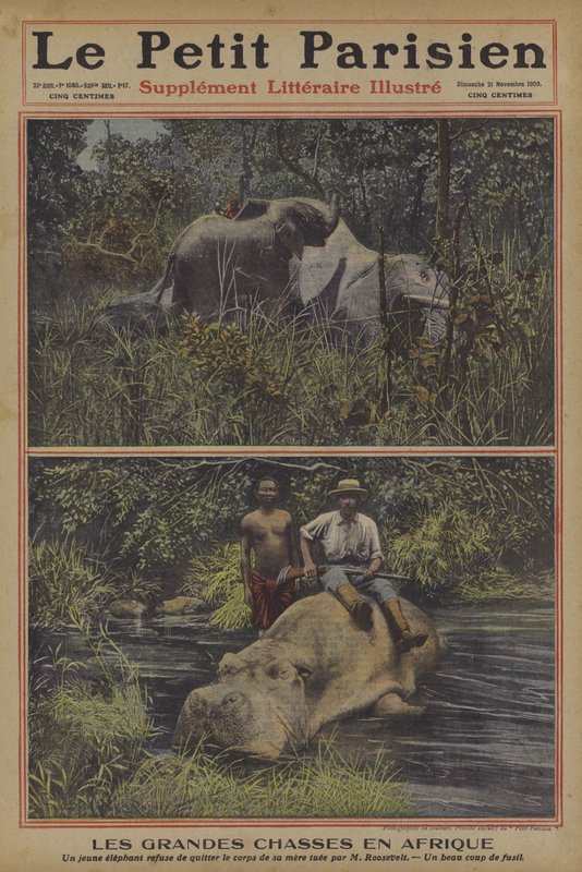 Caça grossa em África (cor litho) de French School