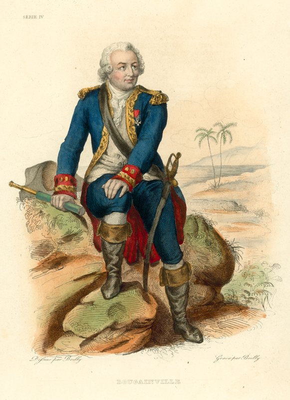 Bougainville (gravação a cores) de French School