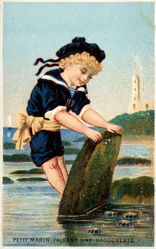 Menino, olhar, pedra, ligado, praia de French School