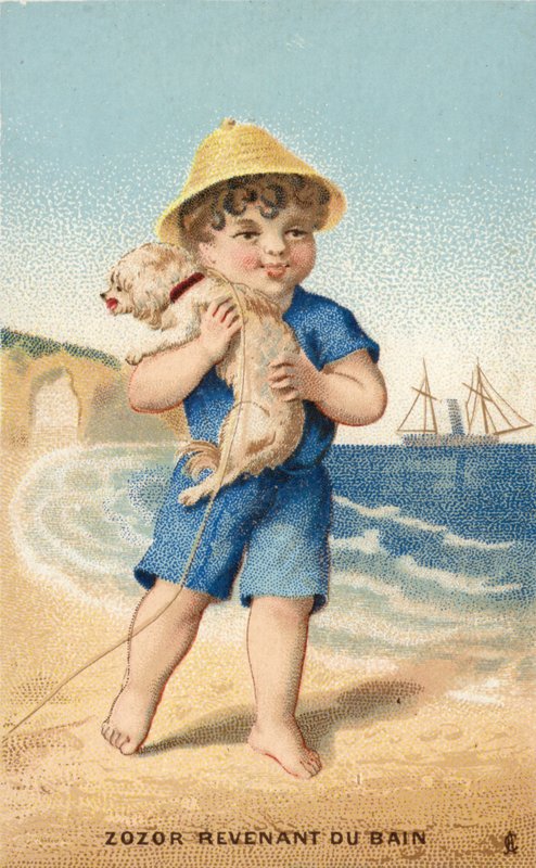 Menino, com, cão, ligado, praia de French School