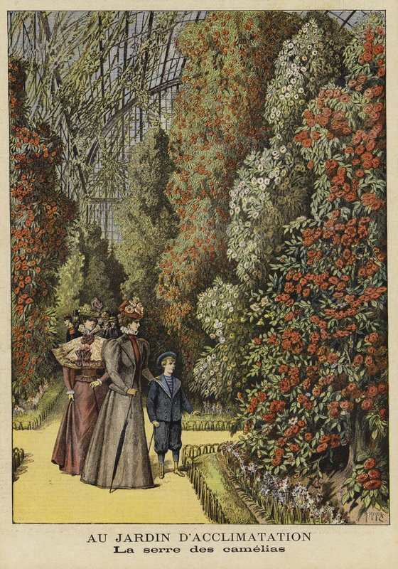 Estufa de camélia em um jardim botânico de French School