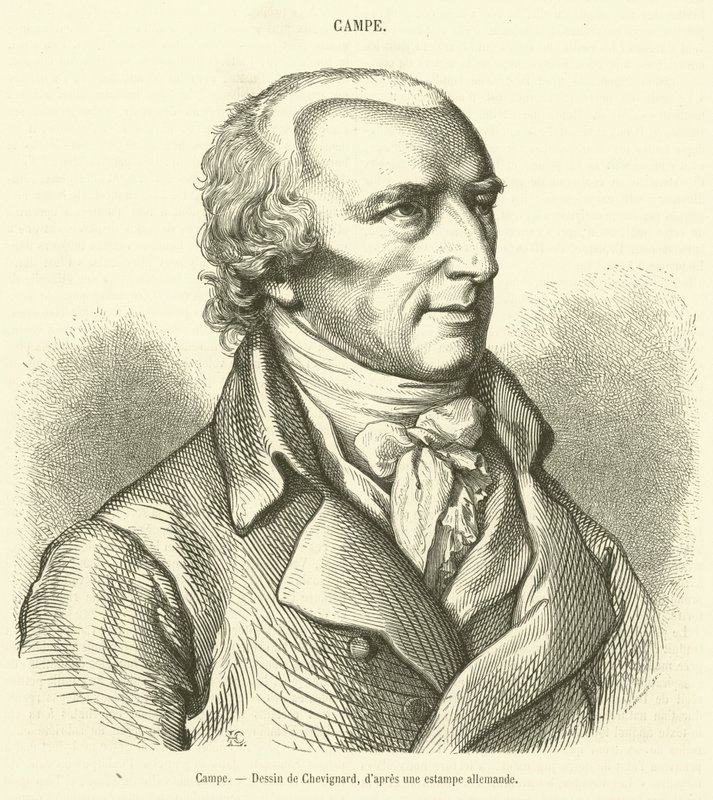 Campe (gravura) de French School
