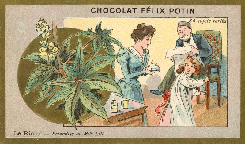 Óleo de rícino - iguaria de Miss Lili (chromolitho) de French School