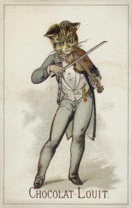 Gato brincando no violino de French School