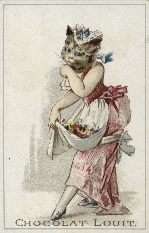 Gato vestindo um vestido de French School