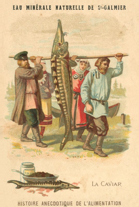 Caviar (chromolitho) de French School