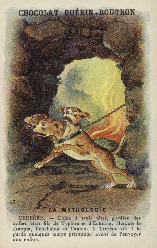 Cerberus de French School