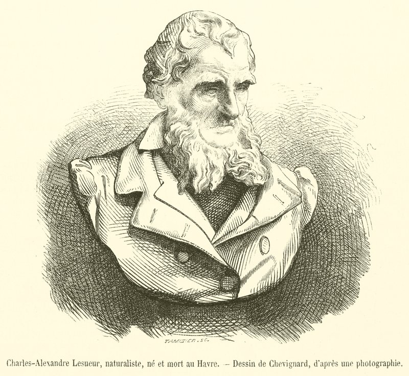 Charles-Alexandre Lesueur, naturalista, nascido e falecido em Le Havre (gravura) de French School