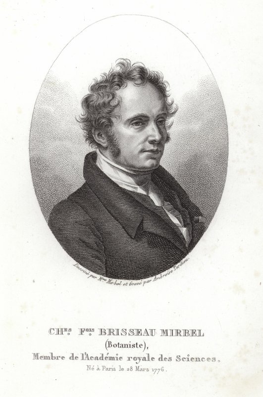 Charles-François Brisseau de Mirbel de French School