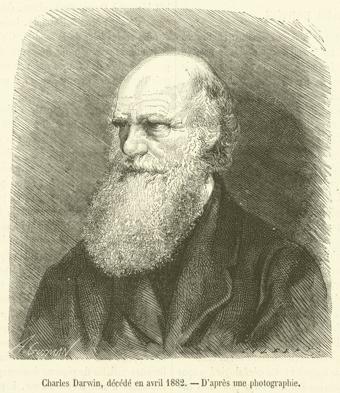 Charles Darwin, falecido em abril de 1882 (gravura) de French School