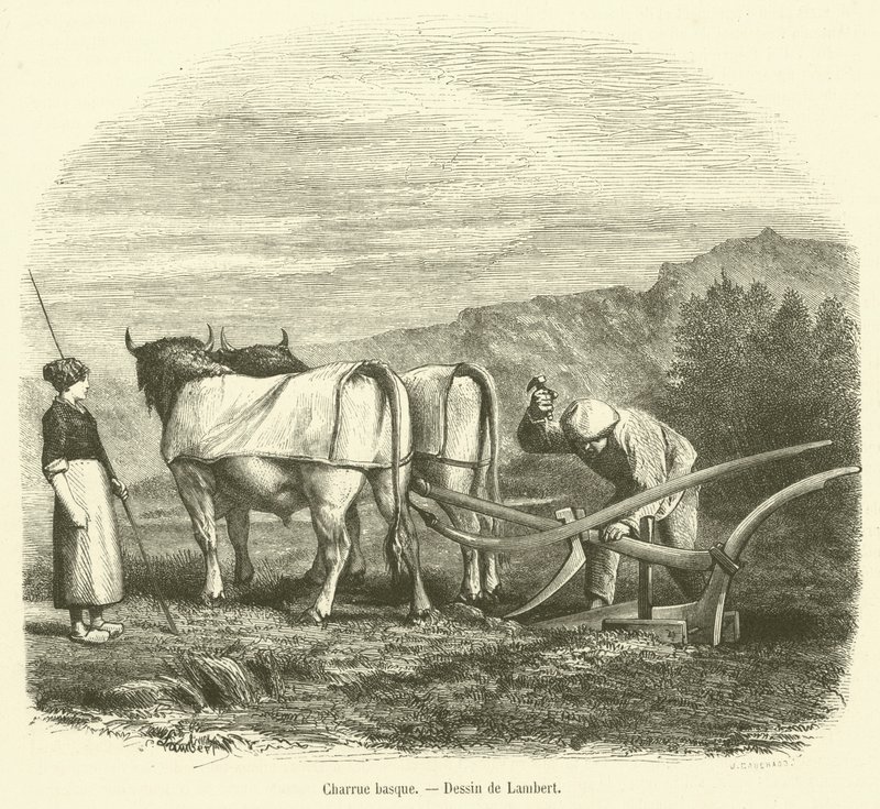 Arado basco (gravura) de French School