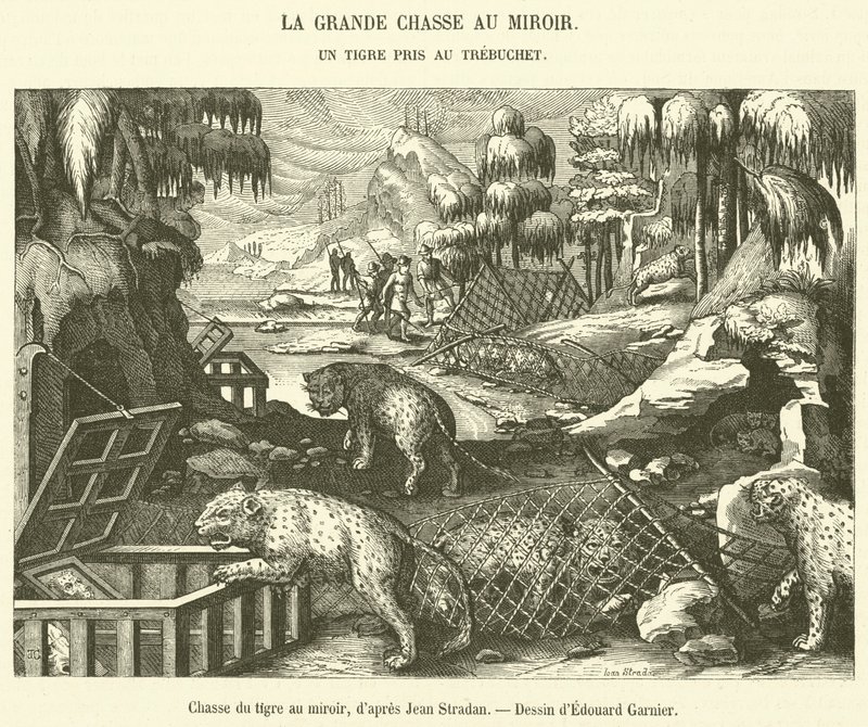 Caça ao tigre com um espelho (gravura) de French School