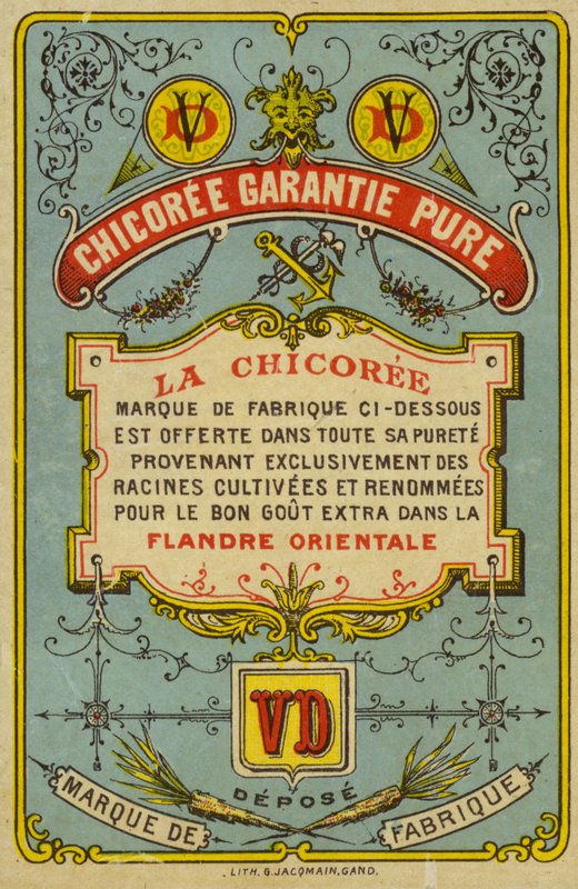 Garantia pura Chicoree de French School