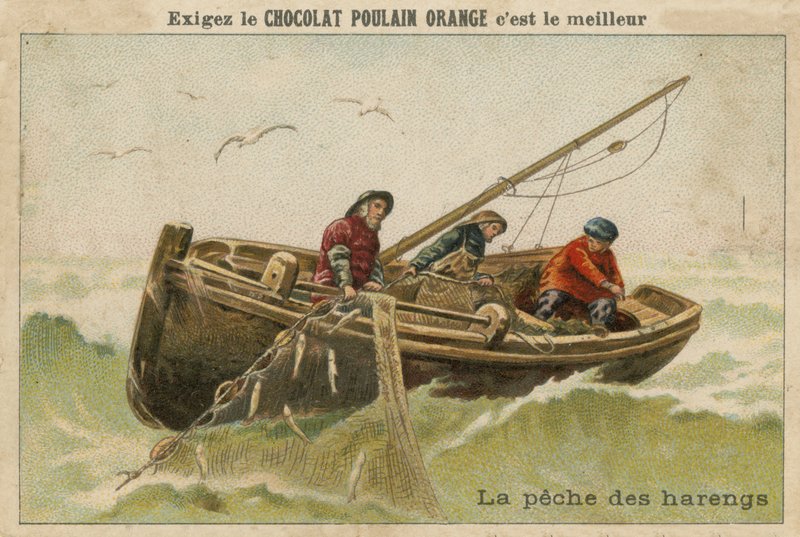 Cartão de comércio de laranja de potro de chocolate de French School