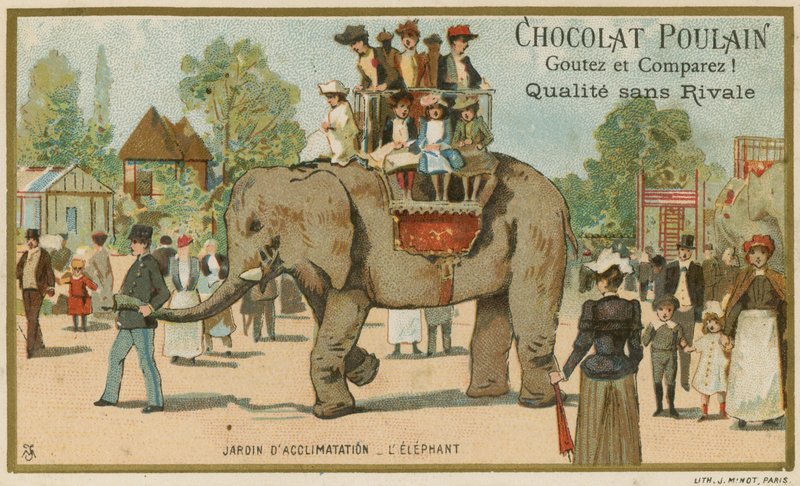 Cartão de comércio de potro de chocolate de French School