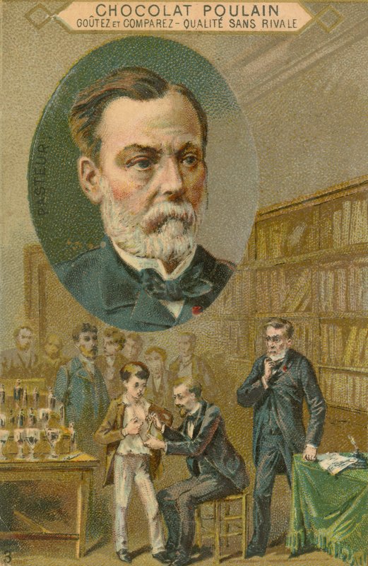 Cartão de comércio de potro de chocolate, Louis Pasteur de French School