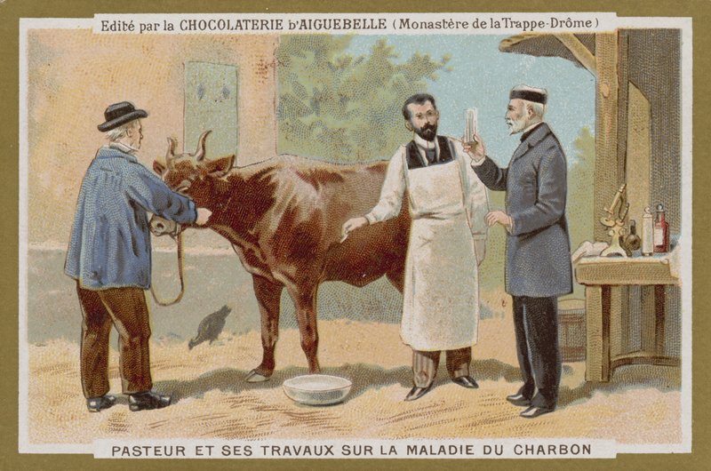 Chocolat dAiguebelle trade card de French School