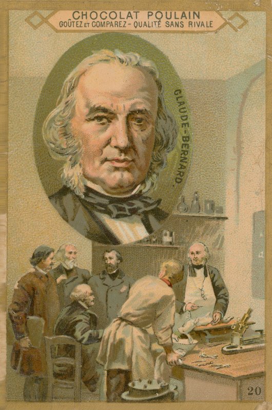 Claude Bernard, cartão do potro do chocolate de French School