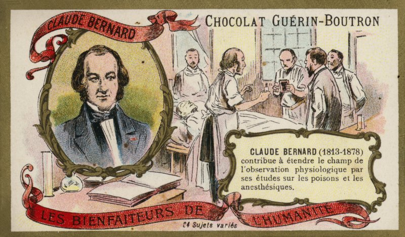 Claude Bernard, fisiologista francês (chromolitho) de French School