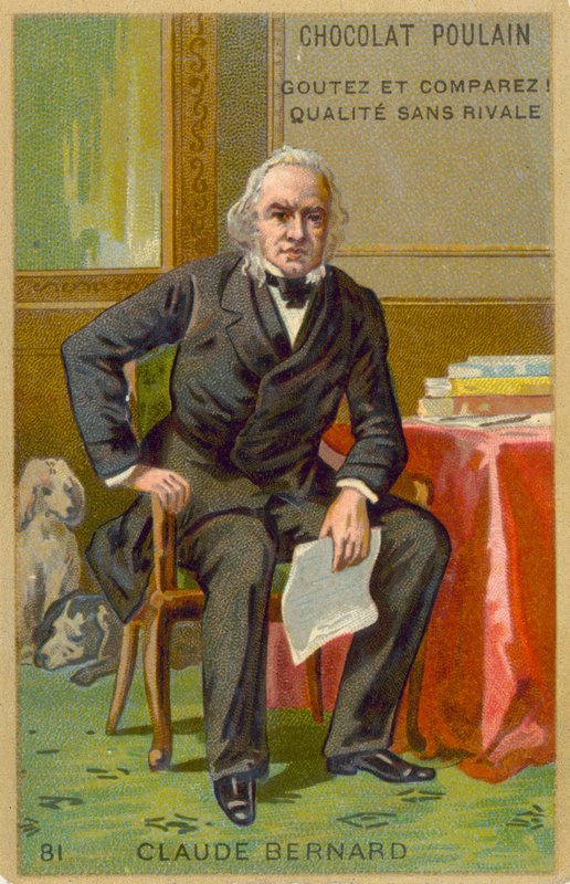 Claude Bernard, fisiologista francês de French School