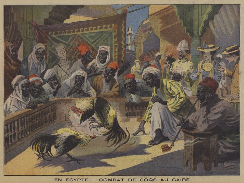 Luta de galos no Cairo (cor litho) de French School