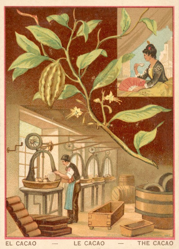 Cacau (chromolitho) de French School