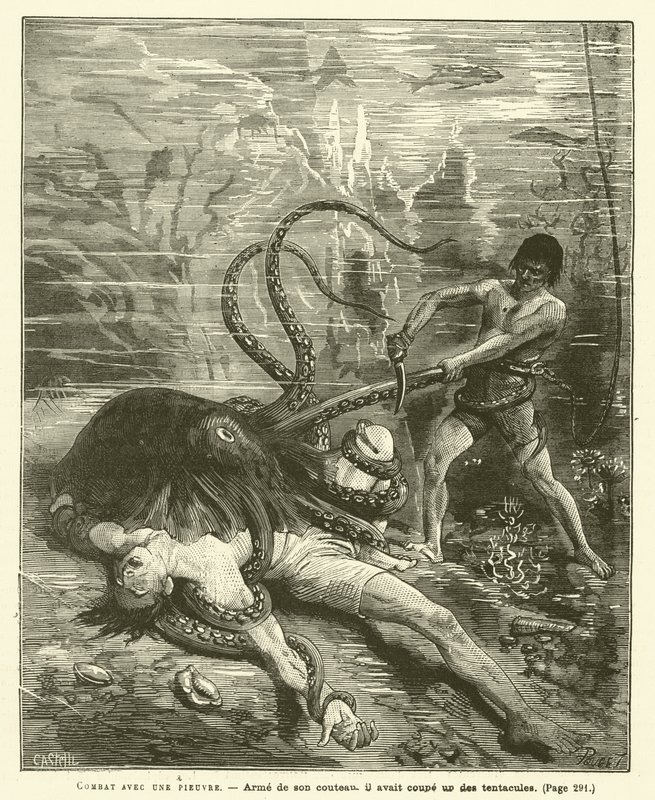 Combater com um polvo (gravação) de French School
