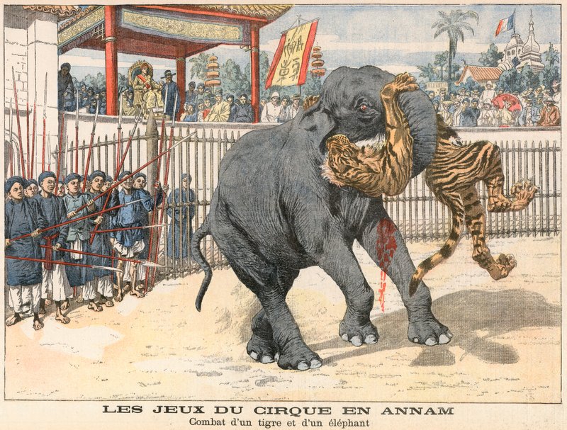 Combate entre um tigre e um elefante de French School
