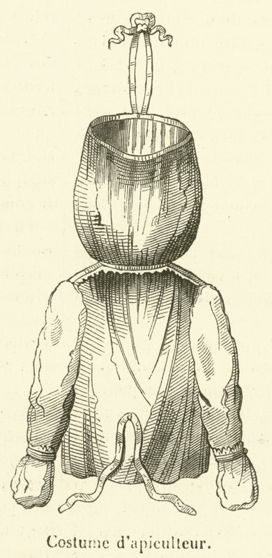Fato de apicultor (gravura) de French School