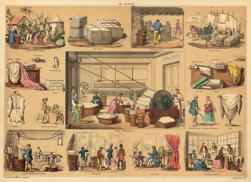 Algodão (gravação a cores) de French School
