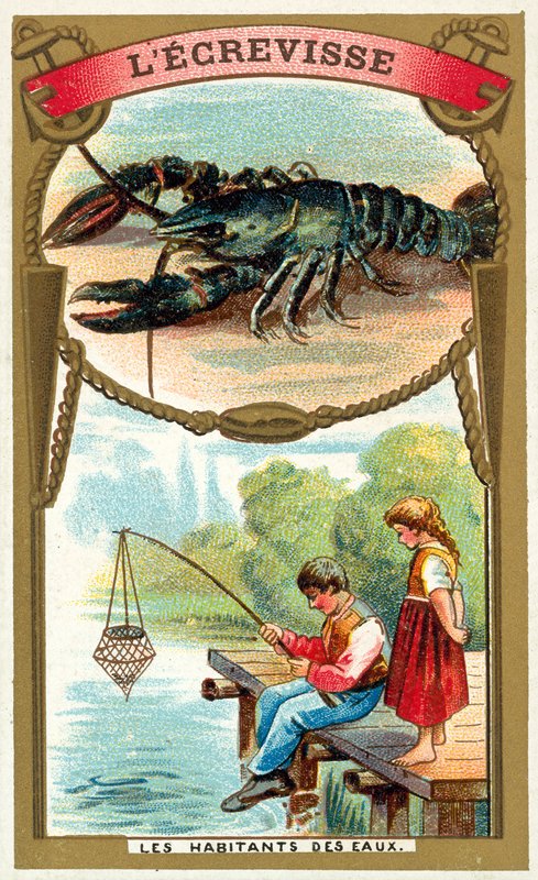 Lagostim (chromolitho) de French School