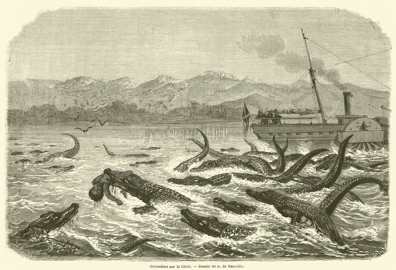 Crocodilos sobre o Chire (gravura) de French School