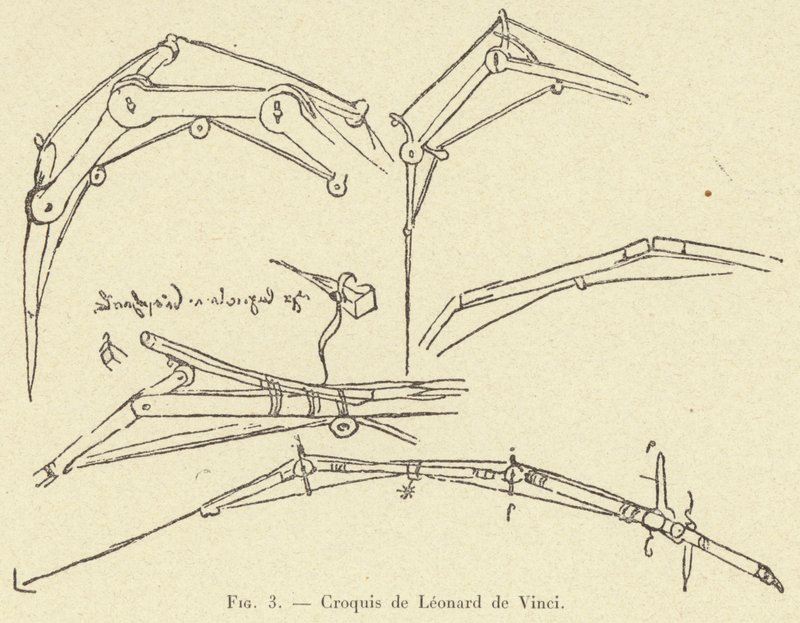 Esboço de Leonardo da Vinci de French School