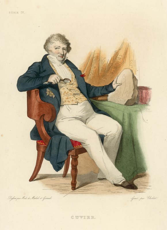 Cuvier (gravação a cores) de French School