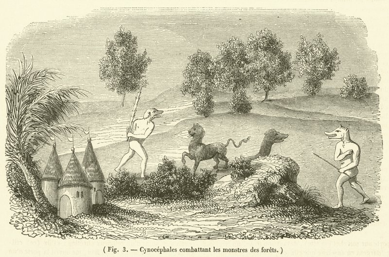 Cynocephales lutando contra monstros da floresta (gravura) de French School