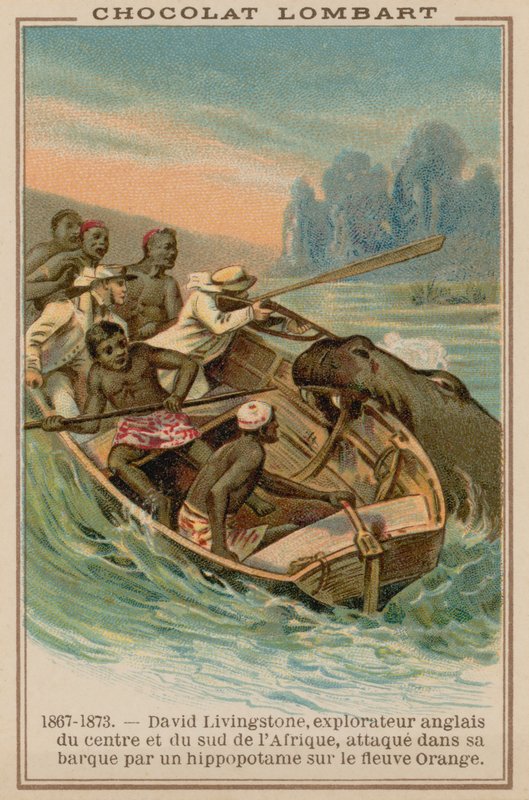 David Livingstones barco sendo atacado por um hipopótamo no rio Orange, África, 1867-1873 de French School